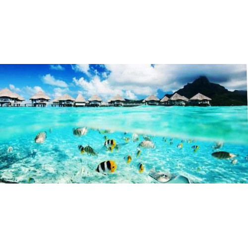 MOOREA - DESODORISANT ASSAINISSEUR...